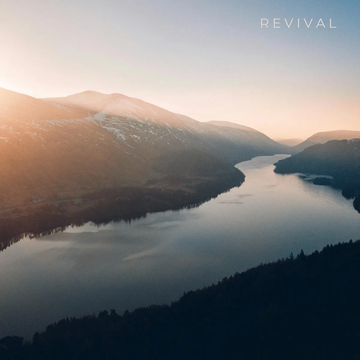 Artwork for Revival