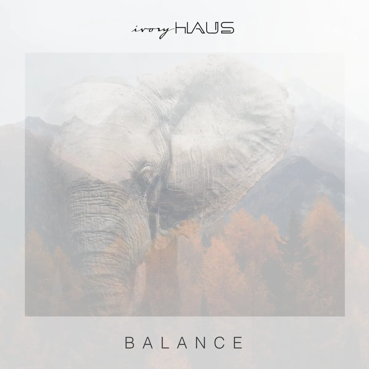 Balance
