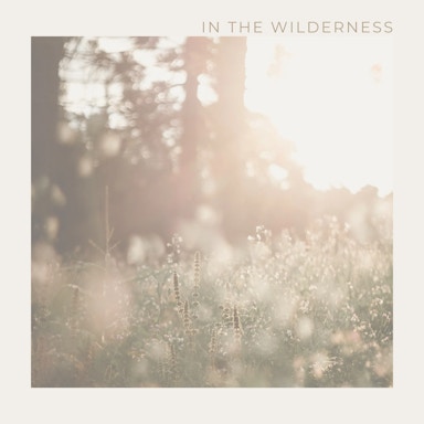 In the Wilderness Album Art