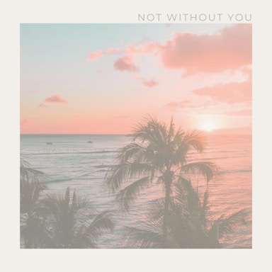 Not Without You Album Art