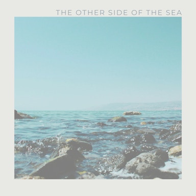 The Other Side of the Sea Album Art