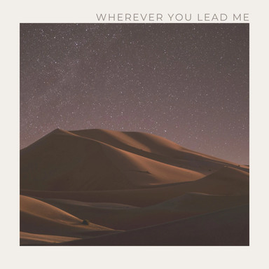 Wherever You Lead Me Album Art